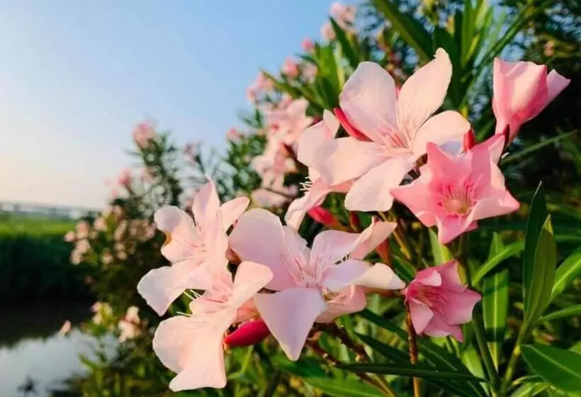 Pingview Villa Resort