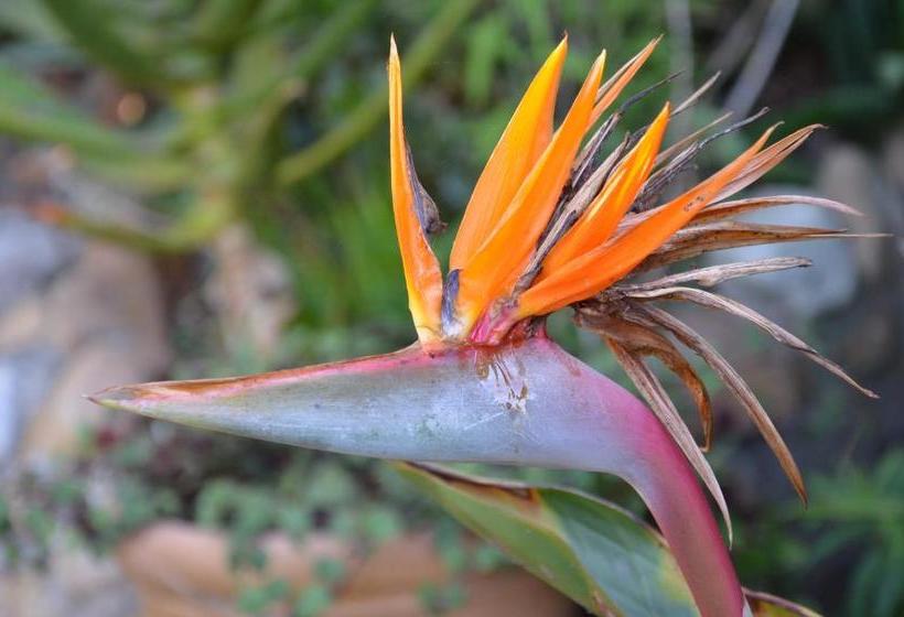 민박 The Blue Door