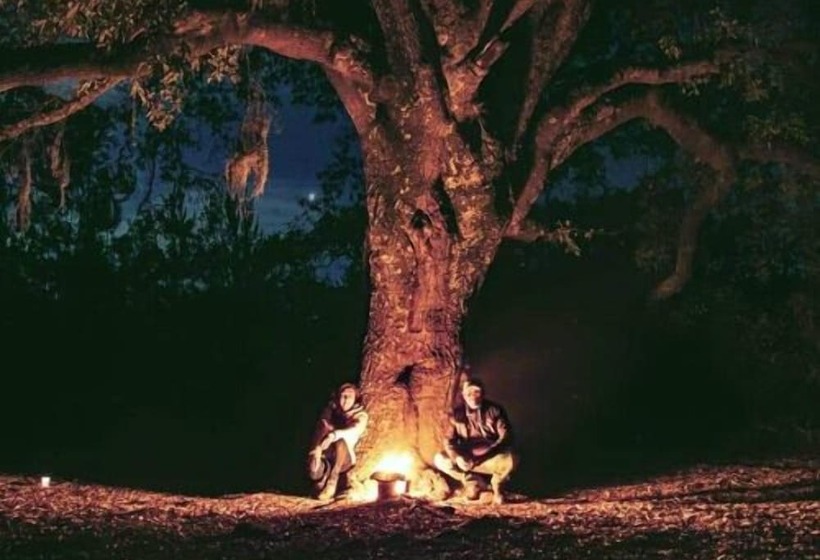 ホテル Bosque Magico