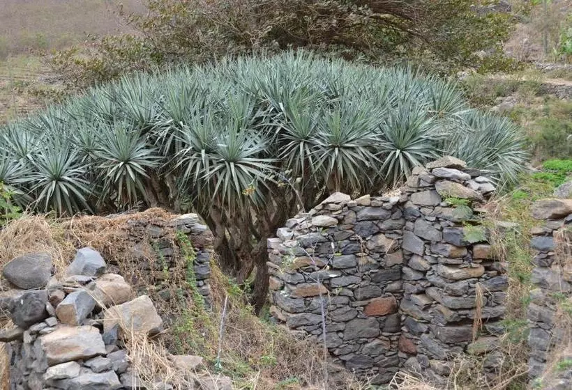 تختخواب و صبحانه Casa Patio