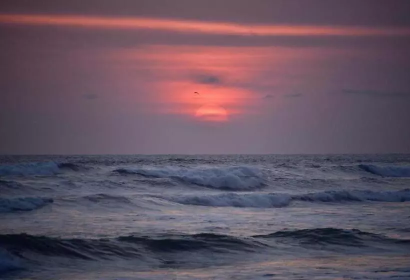 Aamiaismajoitus (B&B) Busua Inn