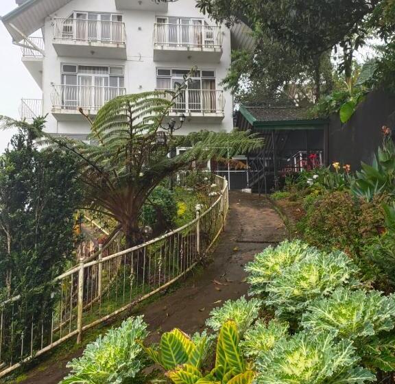 مبيت وإفطار Misty Paradise Of Lake Gregory