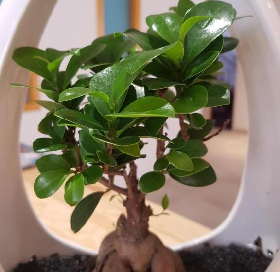 בית מלון כפרי Spa Les Rives Sauvages