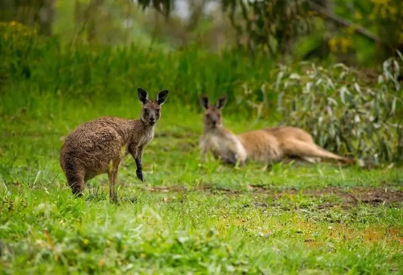 モーテル The Stirling Golf Club