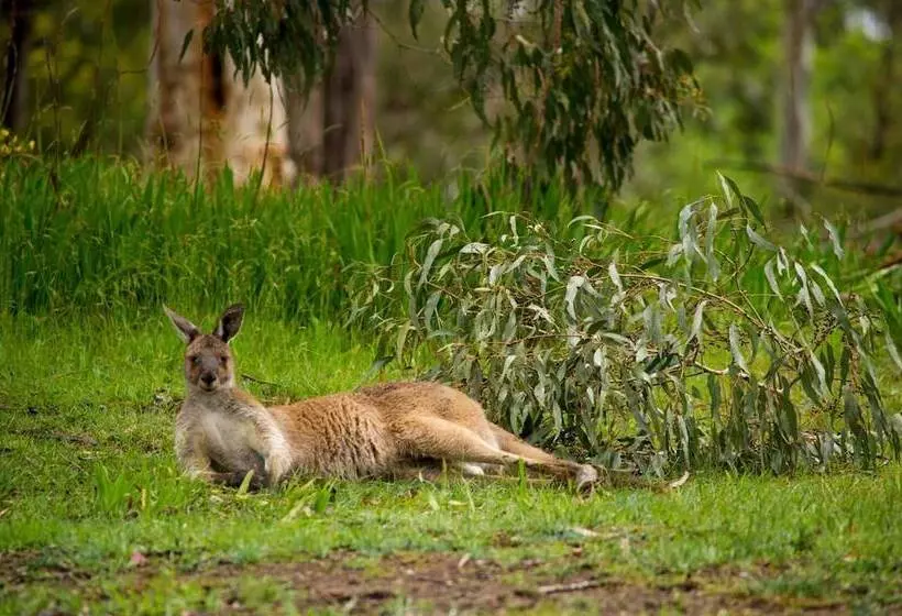 モーテル The Stirling Golf Club