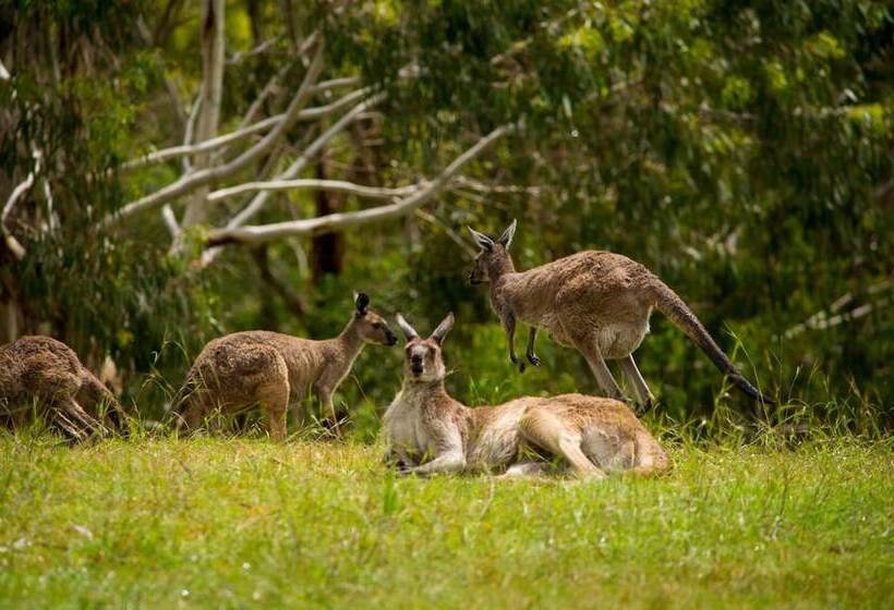 モーテル The Stirling Golf Club