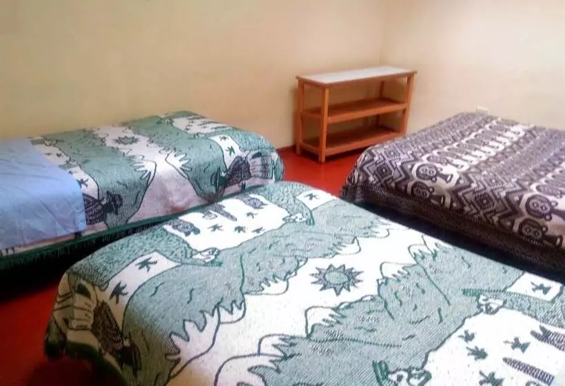 ユースホステル Auquis Ccapac Guest House