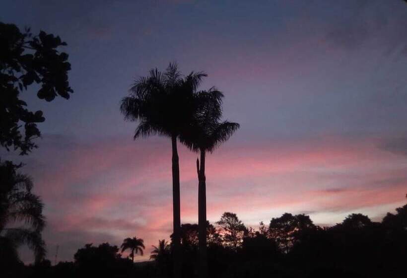 Bed & Breakfast Del Campo