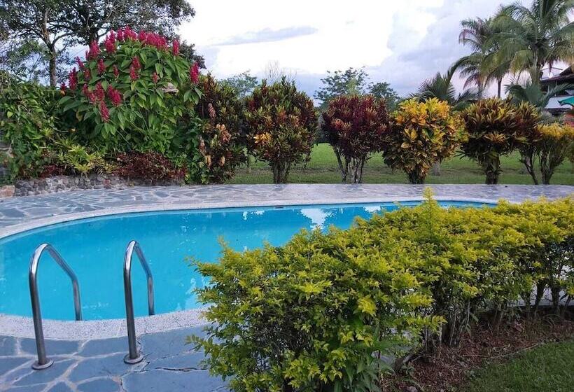 Bed & Breakfast Del Campo