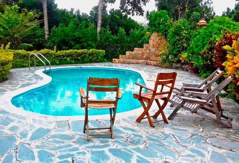 Bed & Breakfast Del Campo