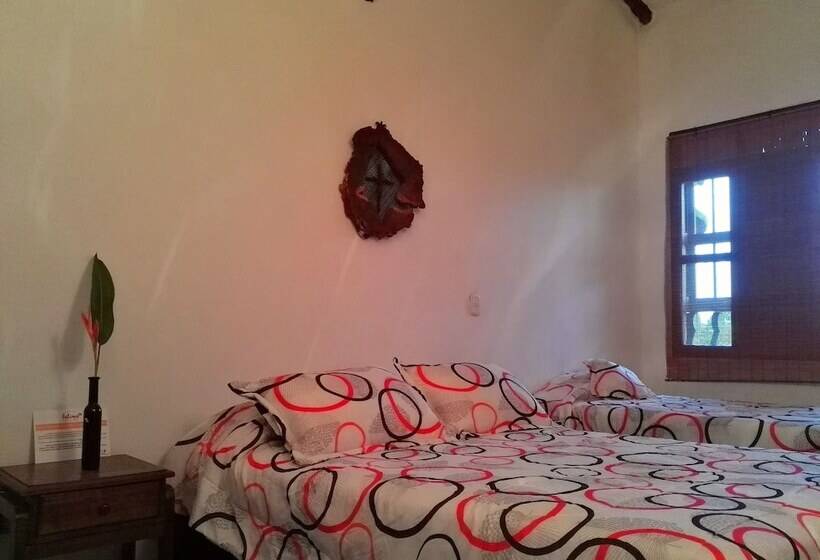 Bed & Breakfast Del Campo