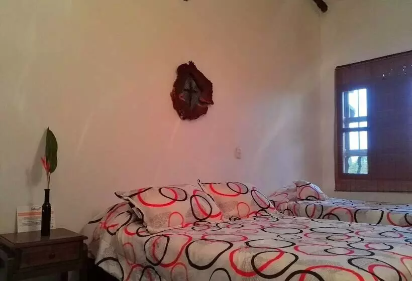 Aamiaismajoitus (B&B) Del Campo
