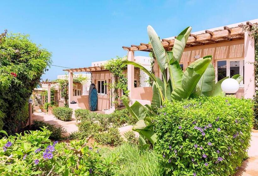 ホテル Aftas Trip