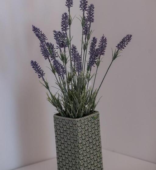 בית מלון כפרי Malucri Resort