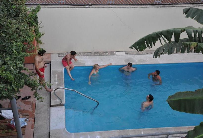 Lemon Garden Hostel Sevilla