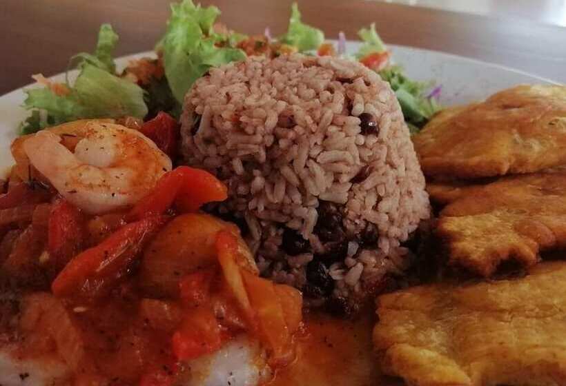 تختخواب و صبحانه Escape Caribeño