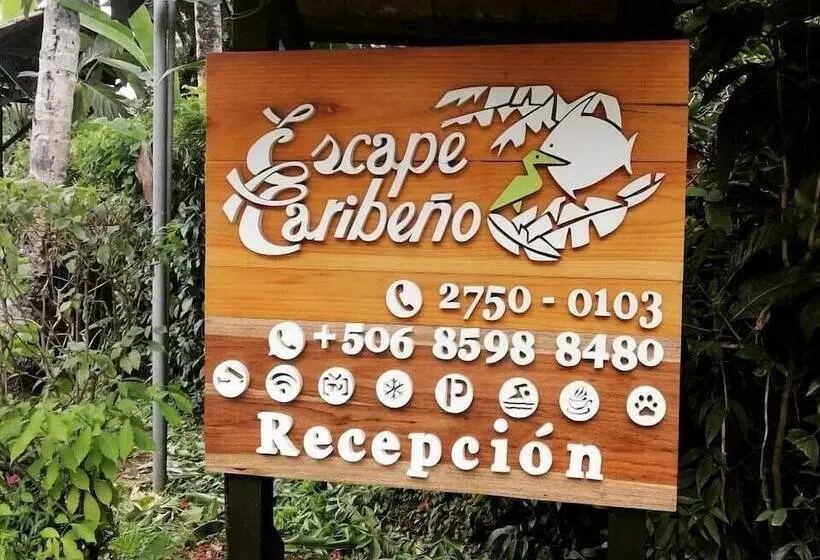 ベッドアンドブレックファースト Escape Caribeño