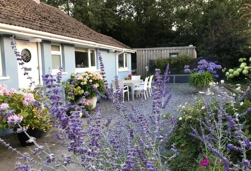 Gower View Luxury Bed & Breakfast