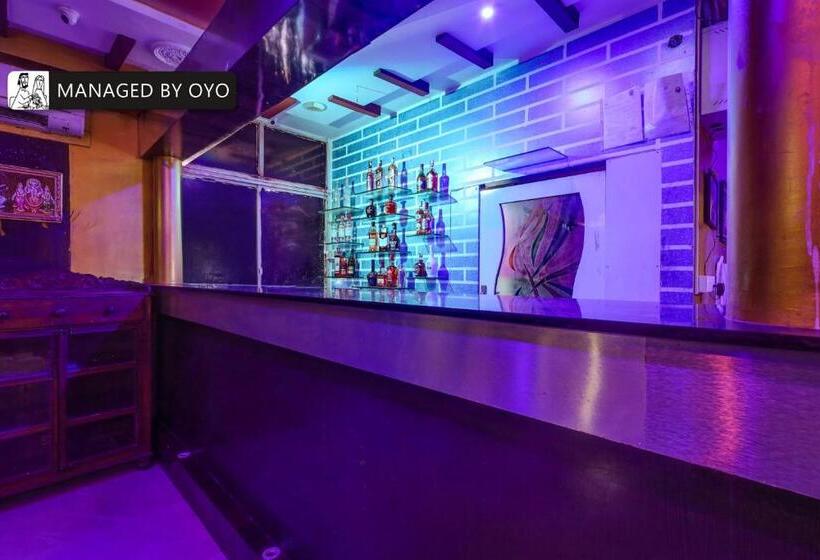 Hotel Alps Residency