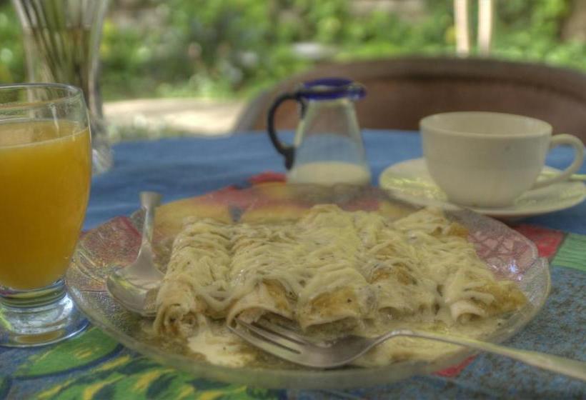 צימר Villa Escondida Guest House Cozumel Downtown