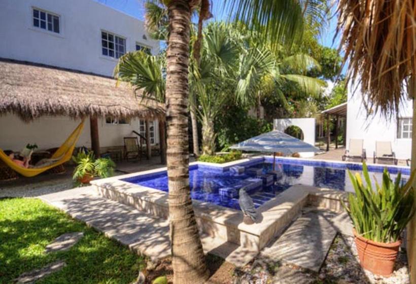 צימר Villa Escondida Guest House Cozumel Downtown