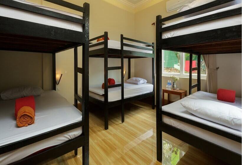 هتل Emily And Nana Lodge