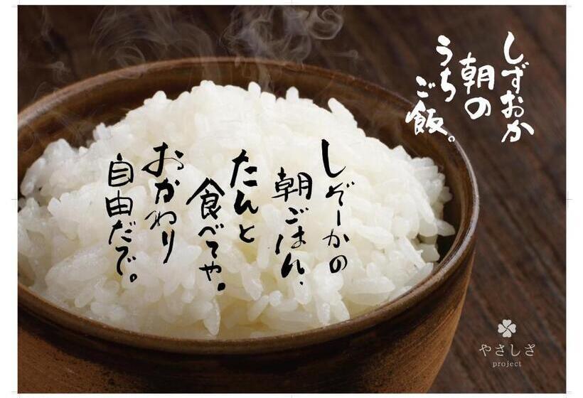 Отель Fujieda Park Inn