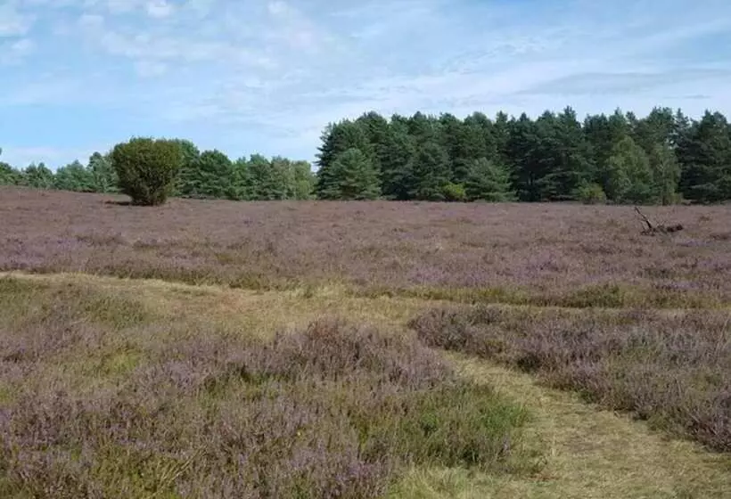 Hotelli Südheide