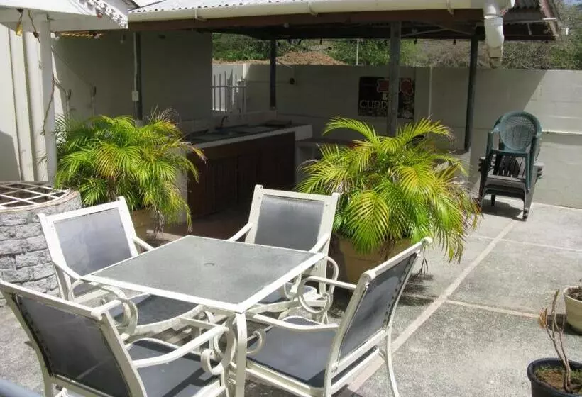 هتل Viola's Place