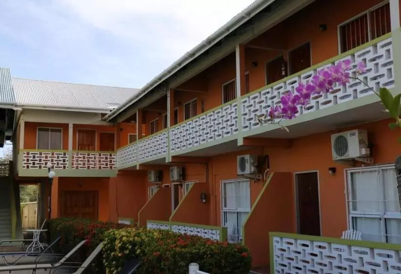 هتل Viola's Place