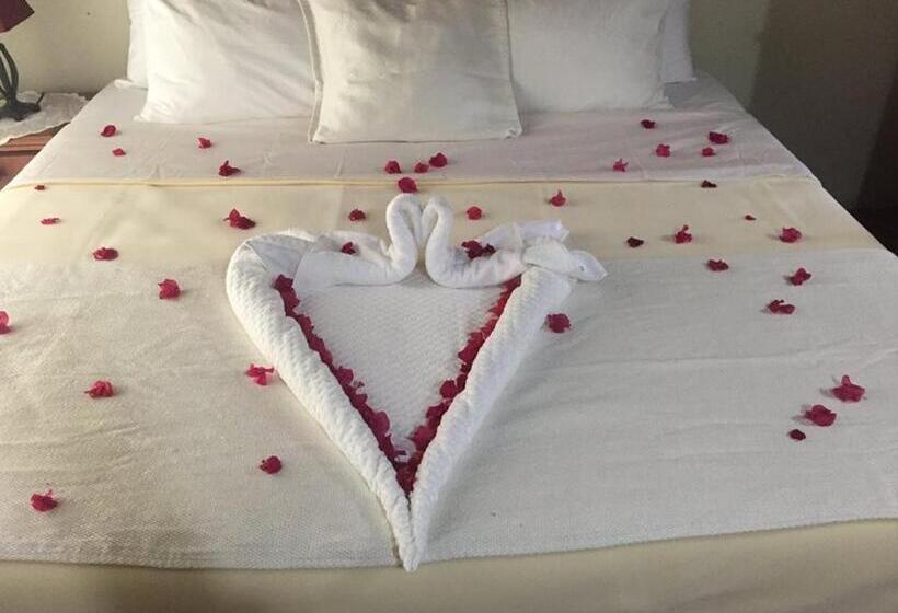 هتل Viola's Place