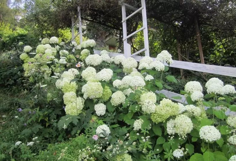 Il Giardino Dell Artemisia