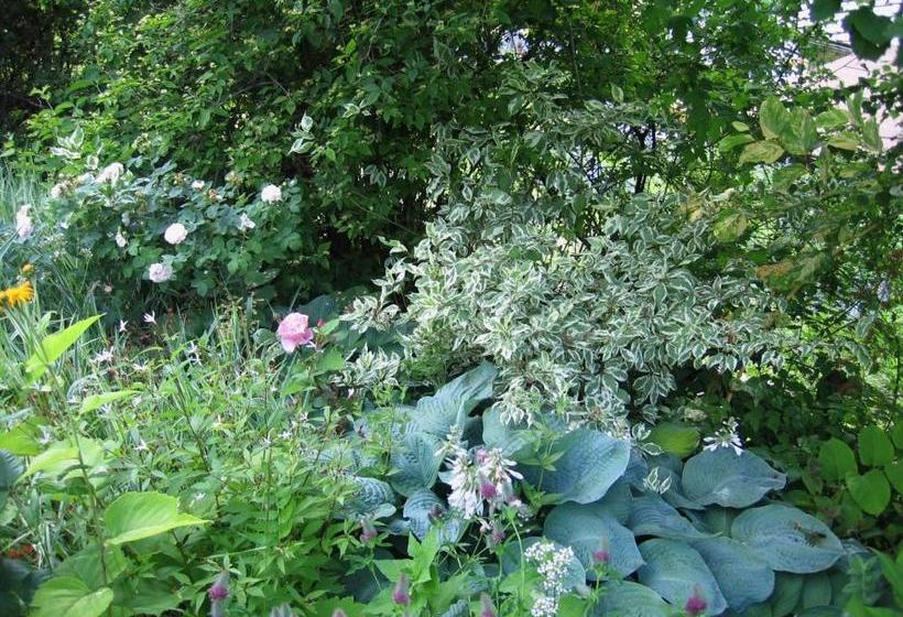 Il Giardino Dell Artemisia