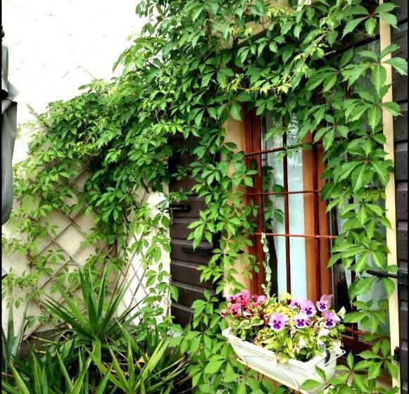 تختخواب و صبحانه Ca' Blanca