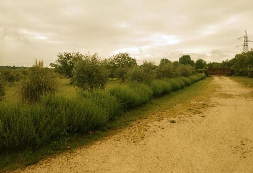 تختخواب و صبحانه Ca' Blanca