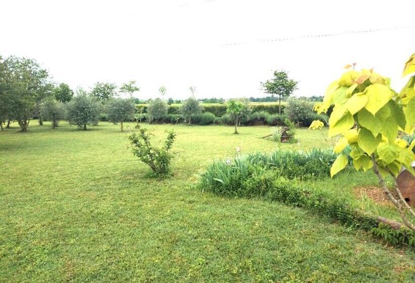 تختخواب و صبحانه Ca' Blanca