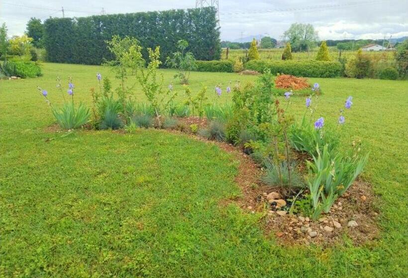 تختخواب و صبحانه Ca' Blanca