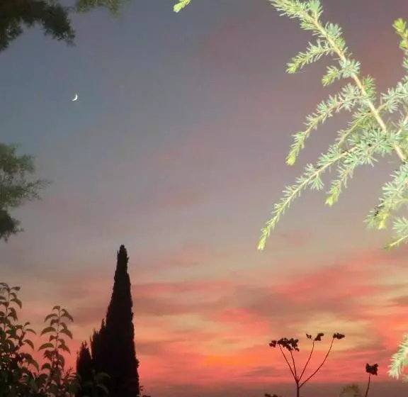 تختخواب و صبحانه Il Giardino Di Alisa