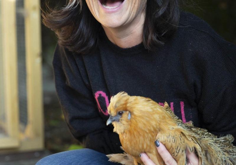 Boutiquehotel Staats