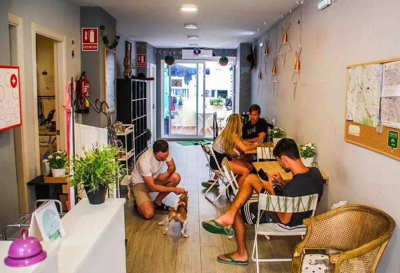La Casa Del Colibrí Youth Hostel