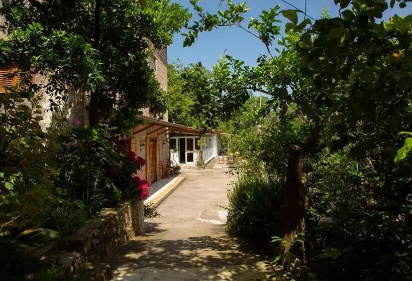 تختخواب و صبحانه L Arancio In Fiore Bad&breakfast