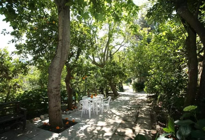 تختخواب و صبحانه L Arancio In Fiore Bad&breakfast