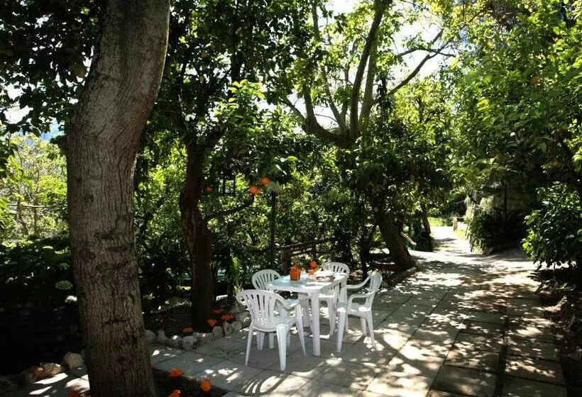 تختخواب و صبحانه L Arancio In Fiore Bad&breakfast