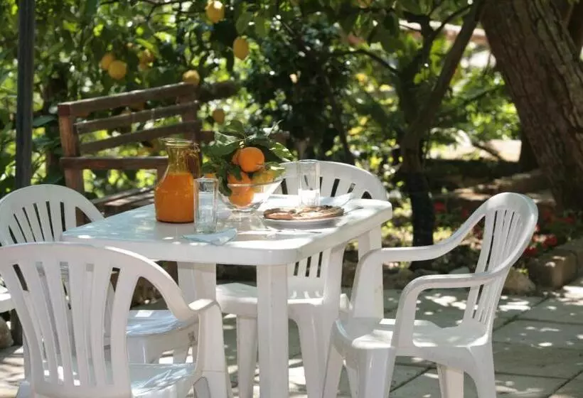 تختخواب و صبحانه L Arancio In Fiore Bad&breakfast