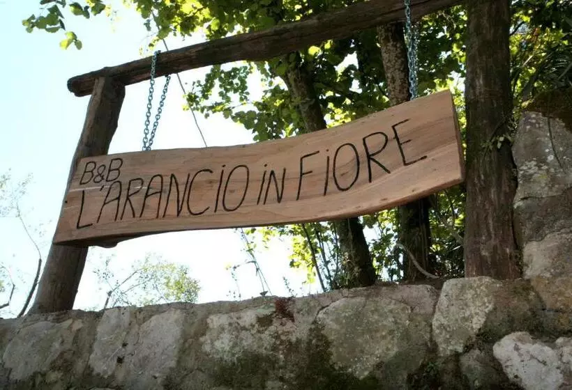 تختخواب و صبحانه L Arancio In Fiore Bad&breakfast
