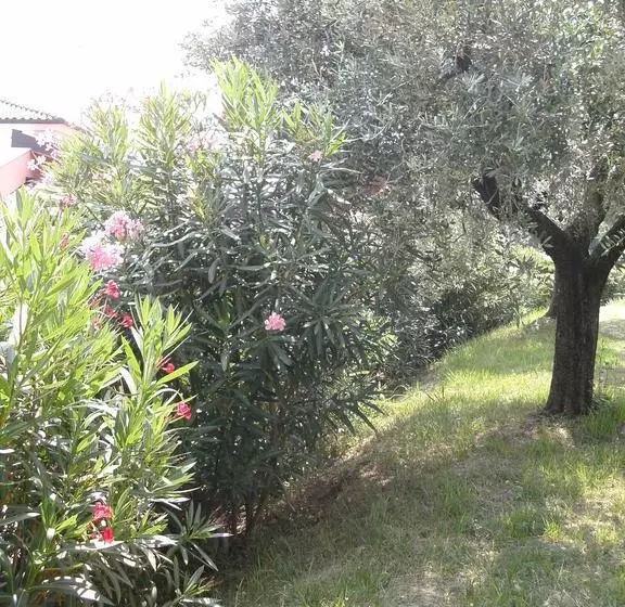 B&b Agli Ulivi