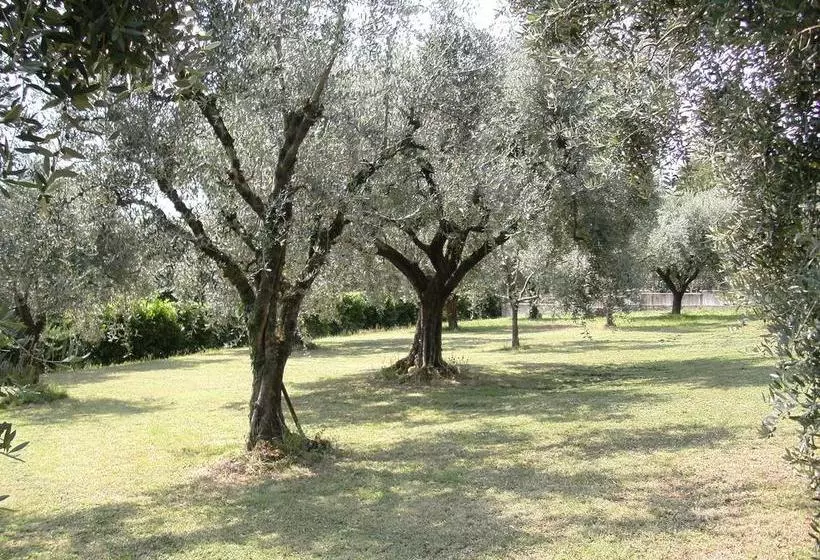 B&b Agli Ulivi