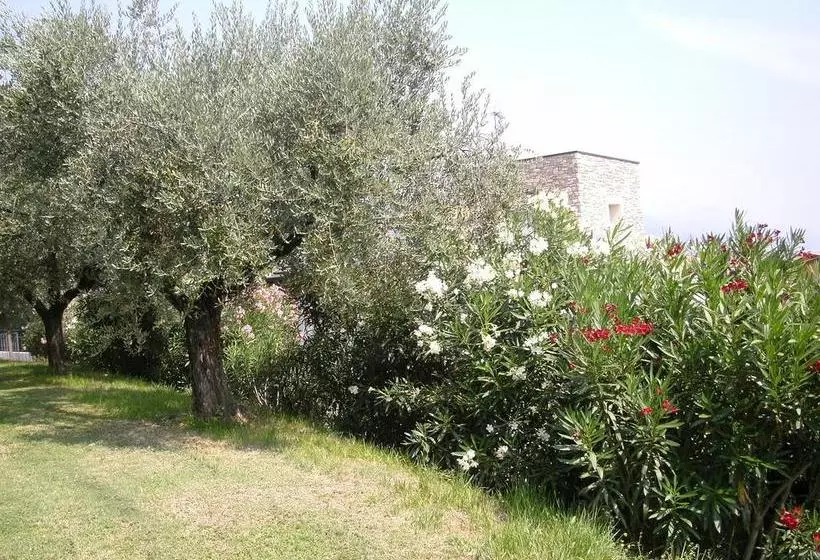B&b Agli Ulivi