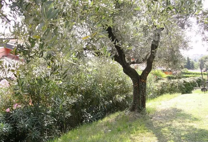 B&b Agli Ulivi