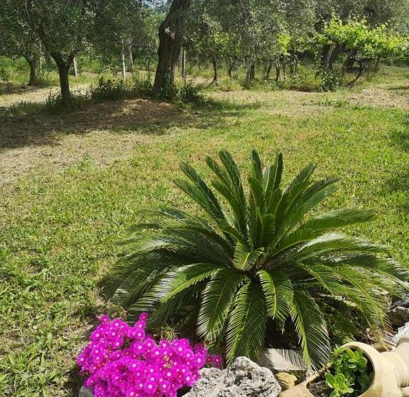 B&b Stella Dell'adriatico